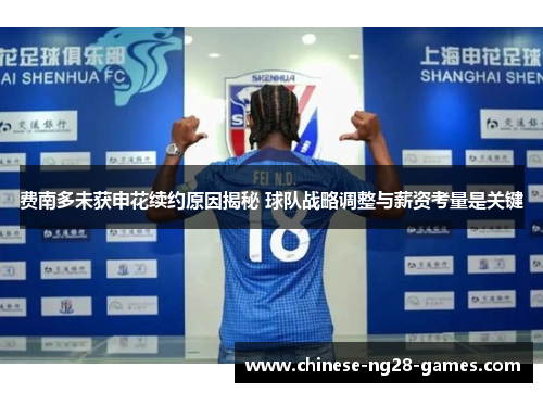 费南多未获申花续约原因揭秘 球队战略调整与薪资考量是关键 费南多未获申花续约原因揭秘 球队战略调整与薪资考量是关键