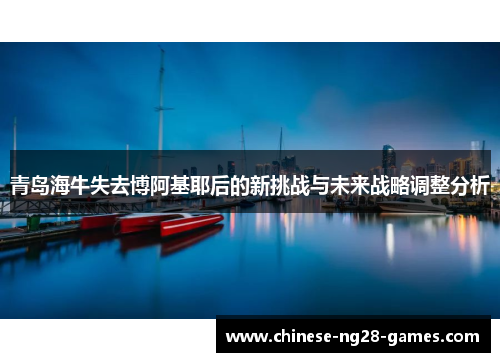 青岛海牛失去博阿基耶后的新挑战与未来战略调整分析 青岛海牛失去博阿基耶后的新挑战与未来战略调整分析