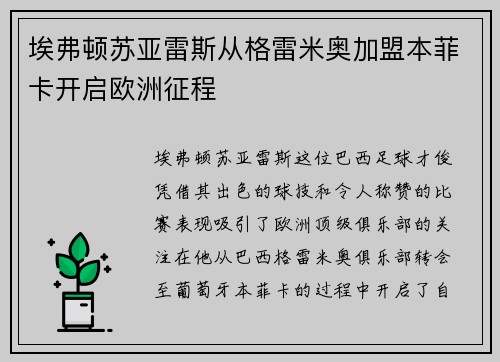 埃弗顿苏亚雷斯从格雷米奥加盟本菲卡开启欧洲征程