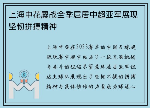 上海申花鏖战全季屈居中超亚军展现坚韧拼搏精神