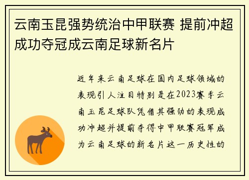 云南玉昆强势统治中甲联赛 提前冲超成功夺冠成云南足球新名片