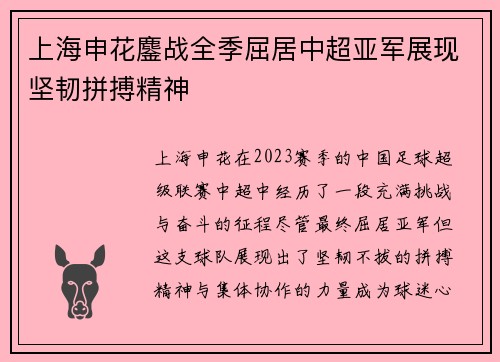 上海申花鏖战全季屈居中超亚军展现坚韧拼搏精神